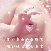 ヒメ日記 2024/12/14 14:54 投稿 ゆうな ぷるるん小町日本橋店