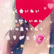 ヒメ日記 2025/02/04 17:31 投稿 ゆうな ぷるるん小町日本橋店