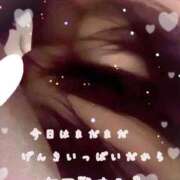 ヒメ日記 2025/02/12 15:01 投稿 ゆうな ぷるるん小町日本橋店