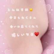 ヒメ日記 2025/02/13 13:00 投稿 ゆうな ぷるるん小町日本橋店