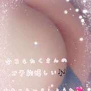 ヒメ日記 2025/02/13 15:01 投稿 ゆうな ぷるるん小町日本橋店