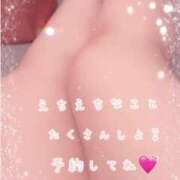 ヒメ日記 2025/02/16 15:02 投稿 ゆうな ぷるるん小町日本橋店