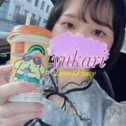 ユカリ 世界猫の日🐈‍⬛🐾 ラブ&ピース 大宮店
