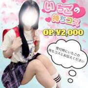 ヒメ日記 2025/02/20 22:37 投稿 いちご コスパラ