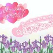 ヒメ日記 2025/02/15 17:59 投稿 あやめ ちゃんこ長野塩尻北IC店