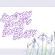 ヒメ日記 2025/02/24 15:51 投稿 あやめ ちゃんこ長野塩尻北IC店