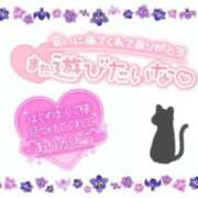 ヒメ日記 2025/02/24 16:31 投稿 あやめ ちゃんこ長野塩尻北IC店