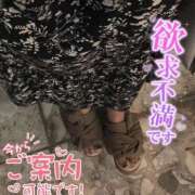 ヒメ日記 2025/06/28 20:41 投稿 あやめ ちゃんこ長野塩尻北IC店