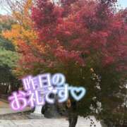 ヒメ日記 2025/11/16 13:21 投稿 あやめ ちゃんこ長野塩尻北IC店