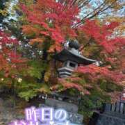 ヒメ日記 2025/11/16 13:41 投稿 あやめ ちゃんこ長野塩尻北IC店