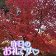 ヒメ日記 2025/11/16 13:47 投稿 あやめ ちゃんこ長野塩尻北IC店