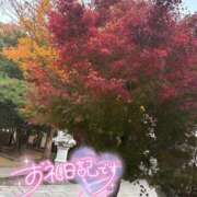 ヒメ日記 2025/11/16 17:21 投稿 あやめ ちゃんこ長野塩尻北IC店