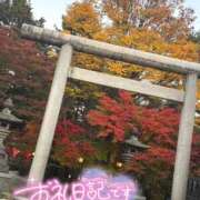 ヒメ日記 2025/11/17 00:51 投稿 あやめ ちゃんこ長野塩尻北IC店