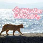 ヒメ日記 2026/09/09 22:21 投稿 あやめ ちゃんこ長野塩尻北IC店