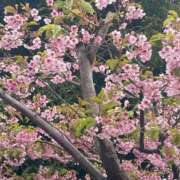 ヒメ日記 2025/03/12 14:50 投稿 みなこ 完熟ばなな 上野店