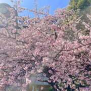 ヒメ日記 2025/03/19 15:20 投稿 みなこ 完熟ばなな 上野店