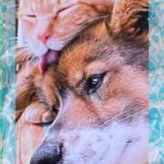 ヒメ日記 2025/11/19 12:24 投稿 みなこ 完熟ばなな 上野店