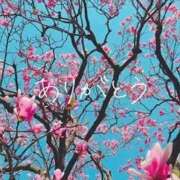 ヒメ日記 2026/02/25 18:16 投稿 みなこ 完熟ばなな 上野店