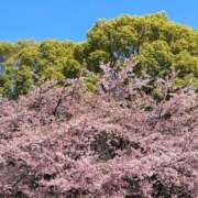 ヒメ日記 2026/03/13 14:46 投稿 みなこ 完熟ばなな 上野店