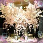 ヒメ日記 2026/03/27 14:56 投稿 みなこ 完熟ばなな 上野店