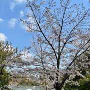 みなこ お礼 完熟ばなな 上野店