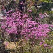 ヒメ日記 2026/04/10 14:46 投稿 みなこ 完熟ばなな 上野店