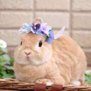 ヒメ日記 2025/02/15 15:43 投稿 まり 白いぽっちゃりさん仙台店