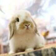 ヒメ日記 2025/02/16 23:28 投稿 まり 白いぽっちゃりさん仙台店