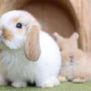 ヒメ日記 2025/02/22 13:17 投稿 まり 白いぽっちゃりさん仙台店