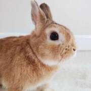 まり プライベートインのﾆｷへ 白いぽっちゃりさん仙台店