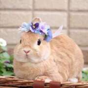 ヒメ日記 2026/01/21 22:58 投稿 まり 白いぽっちゃりさん仙台店