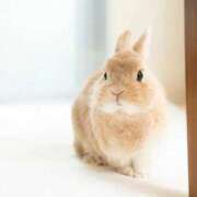 ヒメ日記 2026/01/29 23:48 投稿 まり 白いぽっちゃりさん仙台店