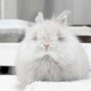 ヒメ日記 2026/01/30 15:18 投稿 まり 白いぽっちゃりさん仙台店