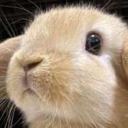 ヒメ日記 2026/01/31 00:48 投稿 まり 白いぽっちゃりさん仙台店