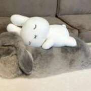 ヒメ日記 2026/02/09 01:18 投稿 まり 白いぽっちゃりさん仙台店