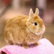 ヒメ日記 2026/03/08 00:43 投稿 まり 白いぽっちゃりさん仙台店