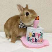 ヒメ日記 2026/03/25 16:28 投稿 まり 白いぽっちゃりさん仙台店