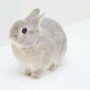 ヒメ日記 2026/04/16 02:48 投稿 まり 白いぽっちゃりさん仙台店