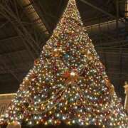 ヒメ日記 2024/12/22 17:56 投稿 桜　さおり しこたま奥様 札幌店