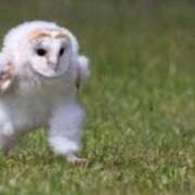 ヒメ日記 2025/02/27 17:35 投稿 桜　さおり しこたま奥様 札幌店