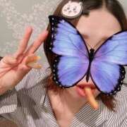 ヒメ日記 2025/04/30 17:15 投稿 桜　さおり しこたま奥様 札幌店