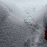 桜　さおり すっっごいですね！ しこたま奥様 札幌店