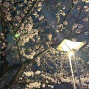 桜　さおり 新年度が始まります！ しこたま奥様 札幌店