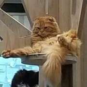 ヒメ日記 2025/04/12 23:44 投稿 結衣 東京人妻フォーシーズンズ