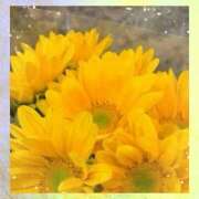 ヒメ日記 2025/06/17 08:42 投稿 高木まい 五十路マダム　和歌山店