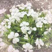 ヒメ日記 2025/06/17 10:44 投稿 高木まい 五十路マダム　和歌山店