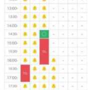 ヒメ日記 2025/05/25 11:37 投稿 ほたる THE ESUTE 渋谷