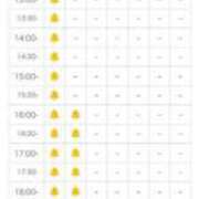 ヒメ日記 2025/05/27 11:44 投稿 ほたる THE ESUTE 渋谷