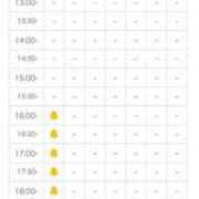 ヒメ日記 2025/05/28 16:00 投稿 ほたる THE ESUTE 渋谷