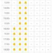ヒメ日記 2025/06/23 15:27 投稿 ほたる THE ESUTE 渋谷